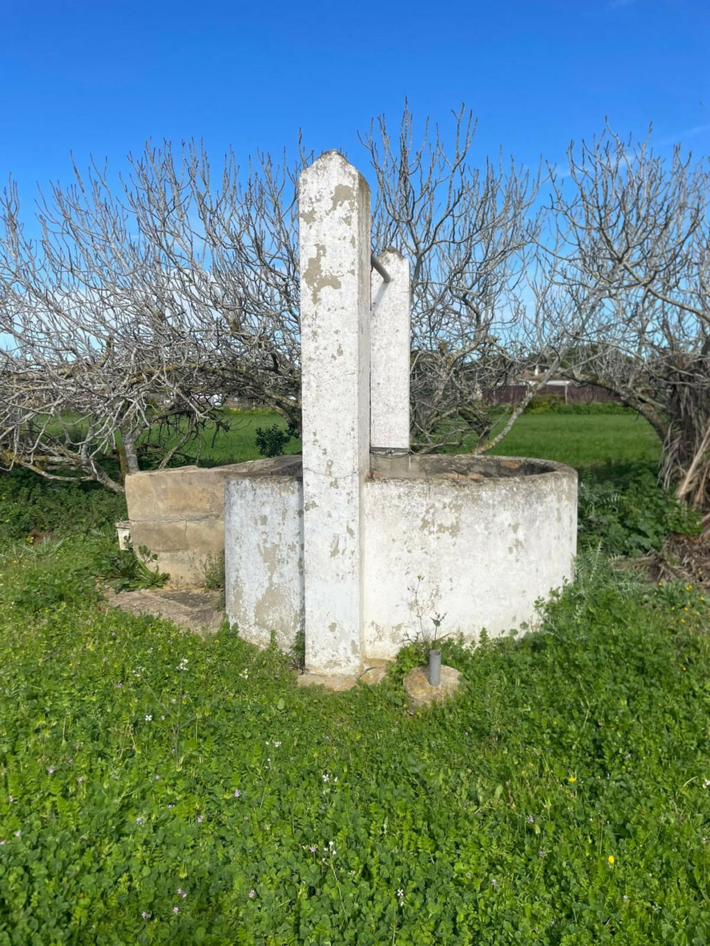 Land Conil de la Frontera Cádiz - imagen 4