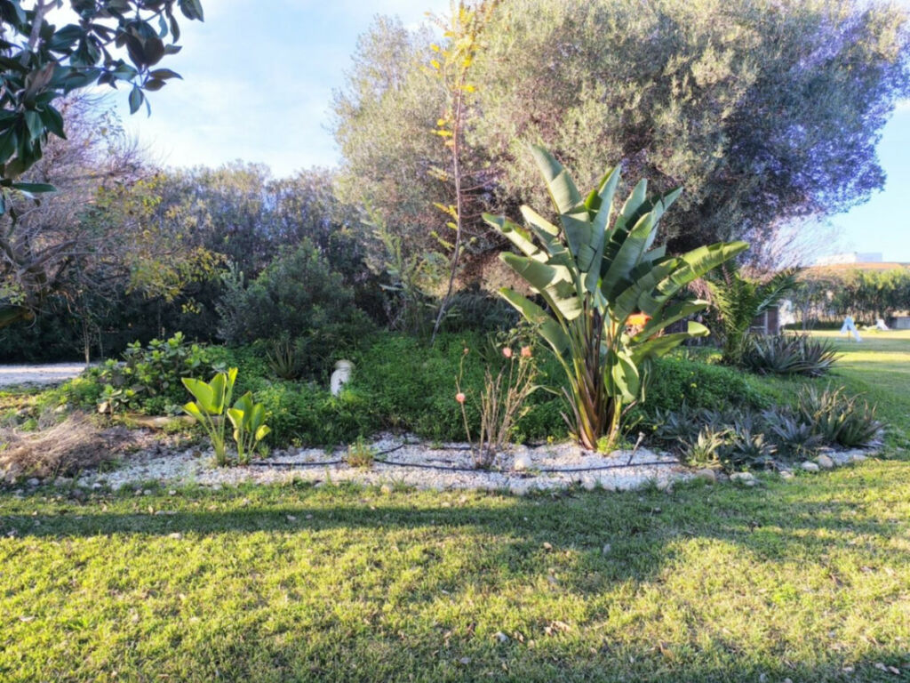 Detached Villa Ondara Alicante - imagen 4