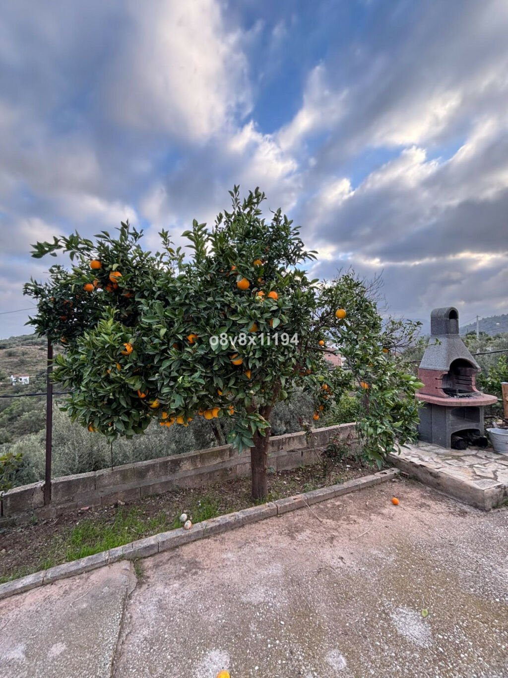 Finca - Cortijo Cútar Málaga - imagen 5