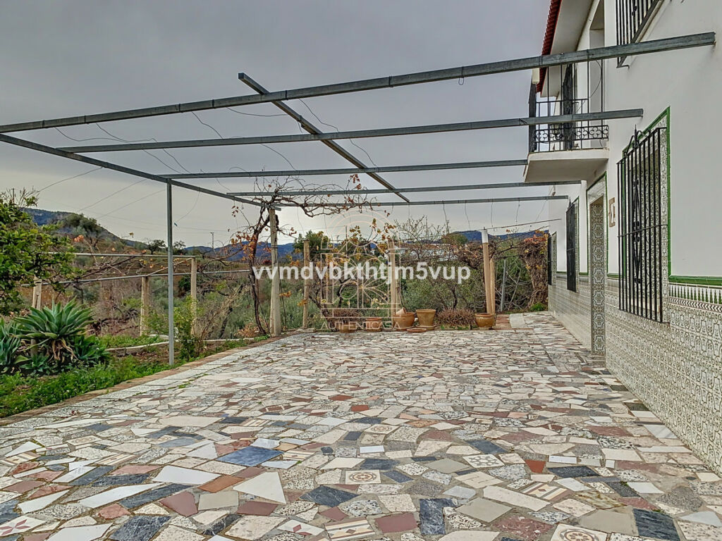 Finca - Cortijo Comares Málaga - Bild 6