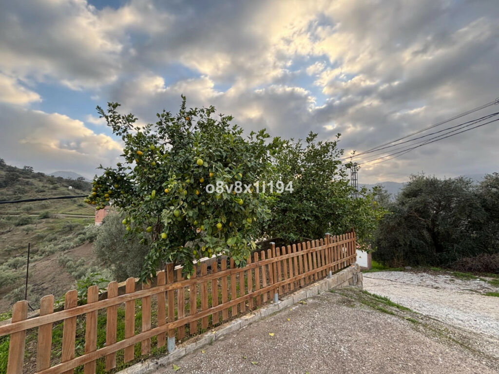 Finca - Cortijo Cútar Málaga - imagen 6