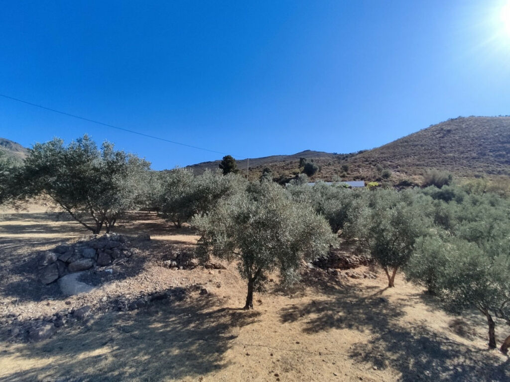 Detached Villa Alcaucín Málaga - Bild 6