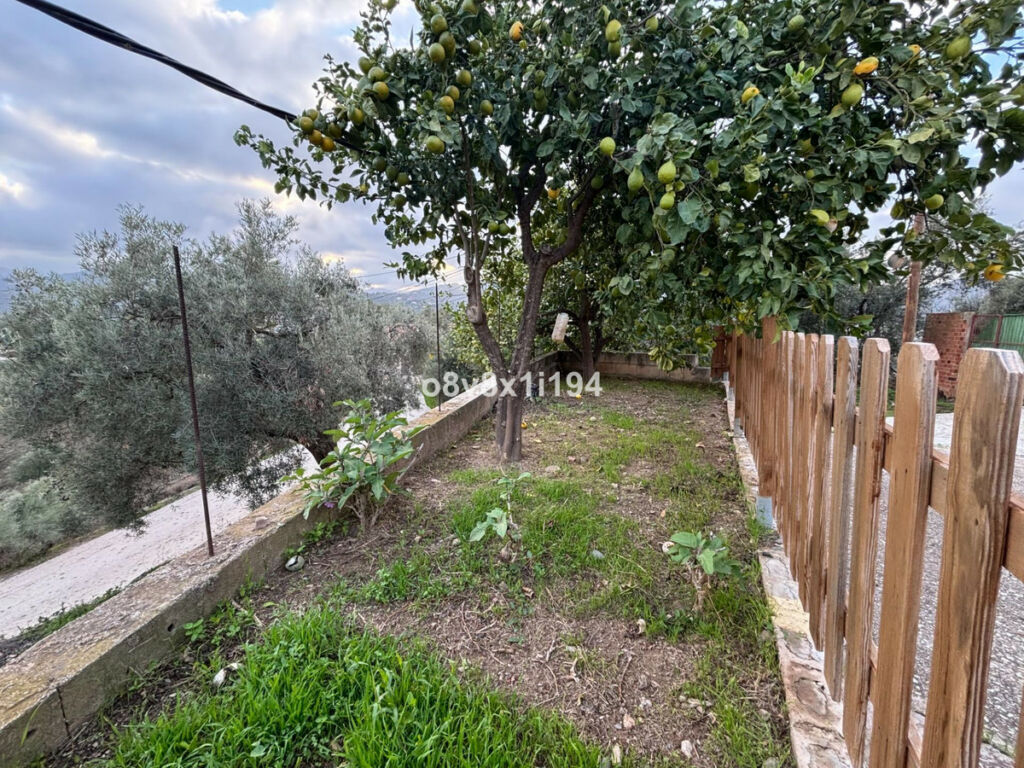 Finca - Cortijo Cútar Málaga - imagen 8