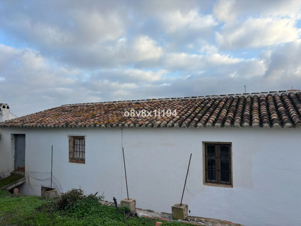 Finca - Cortijo Cútar Málaga - imagen 9