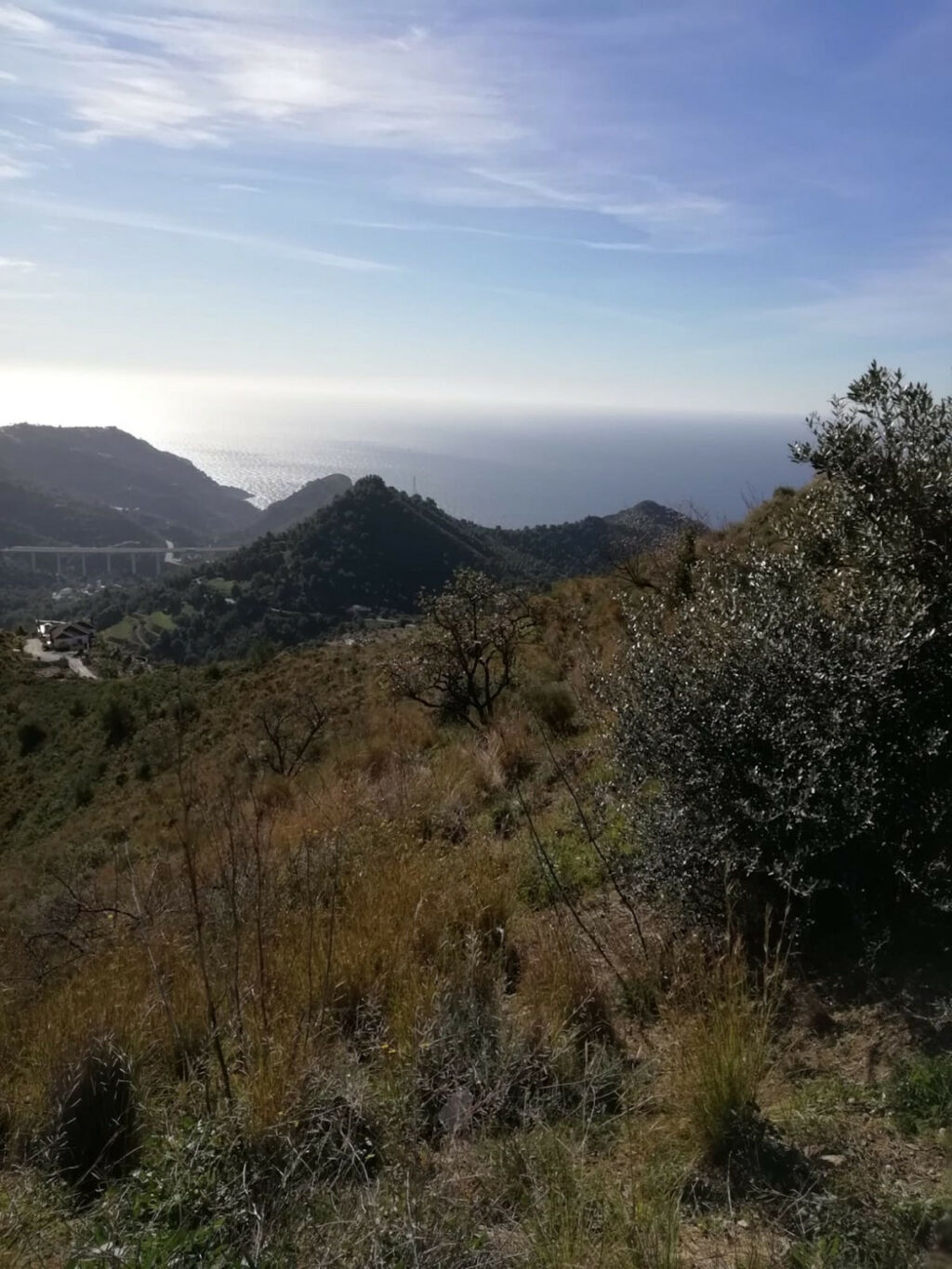 Land Nerja Málaga - Bild 10