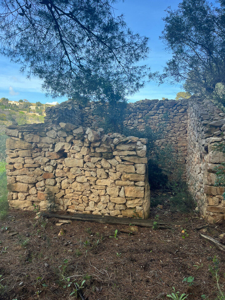 Land Pedramala Alicante - imagen 11
