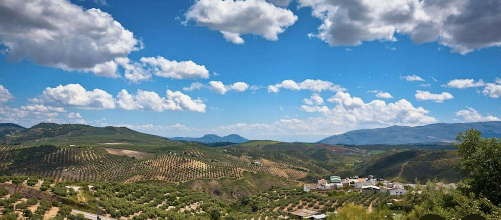 Residential Plot Antequera Málaga - Bild 13