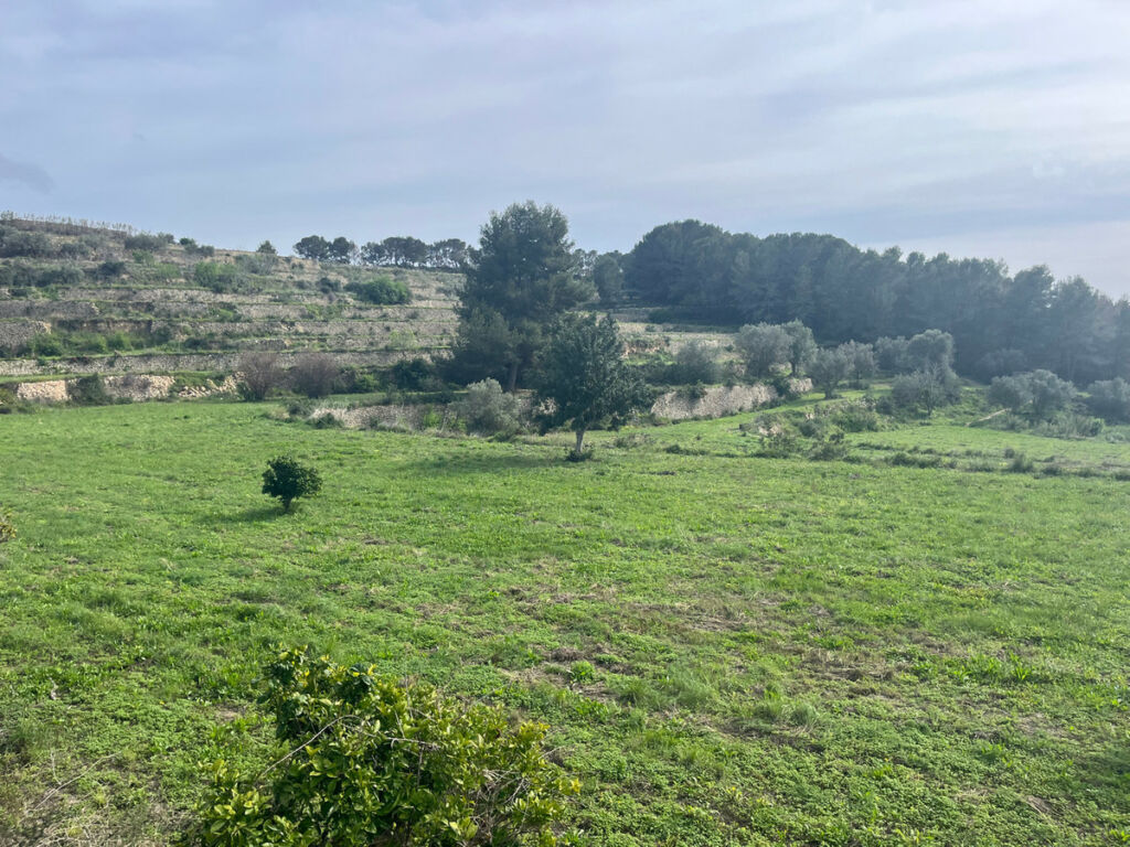 Land Pedramala Alicante - imagen 12
