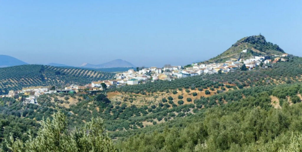 Residential Plot Antequera Málaga - Bild 15