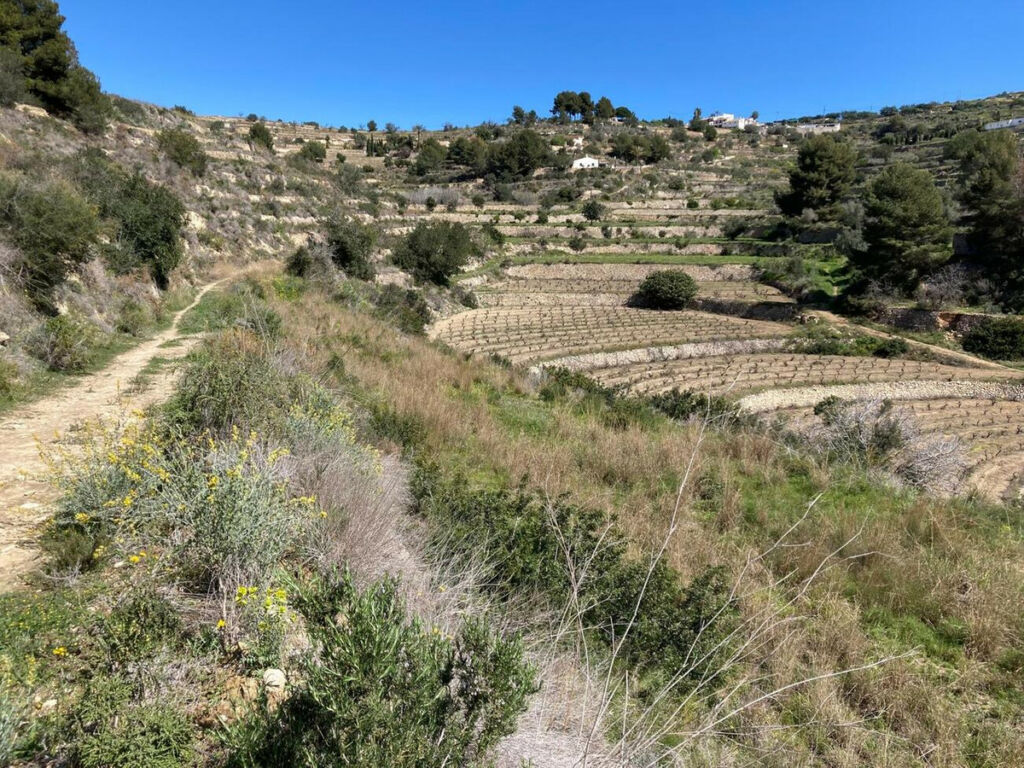 Land Pedramala Alicante - imagen 2