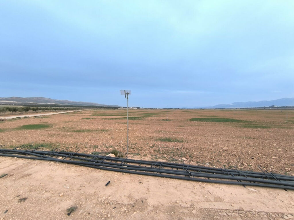 Land Yecla Murcia - imagen 2