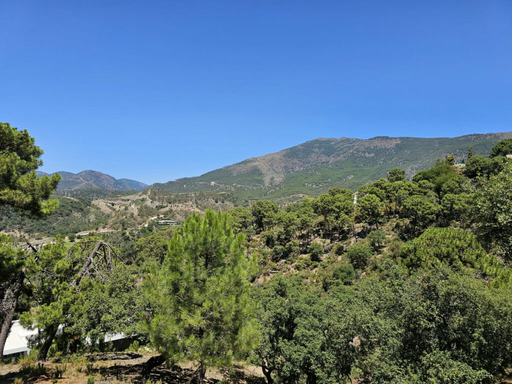 Land La Zagaleta Málaga - zdjęcie 2