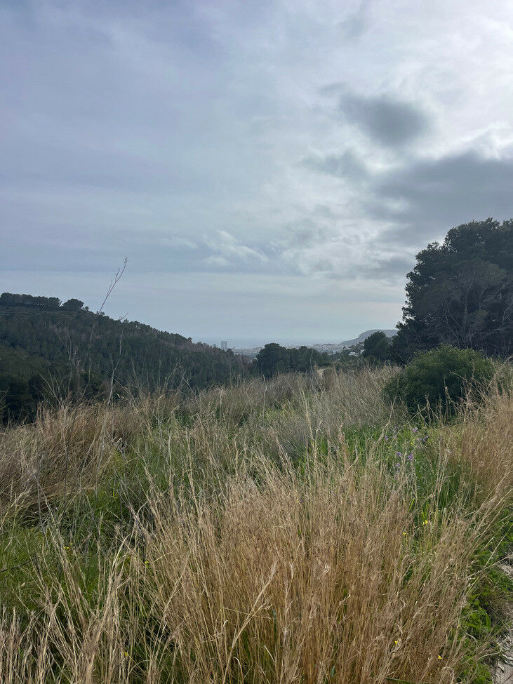 Land Pedramala Alicante - imagen 16