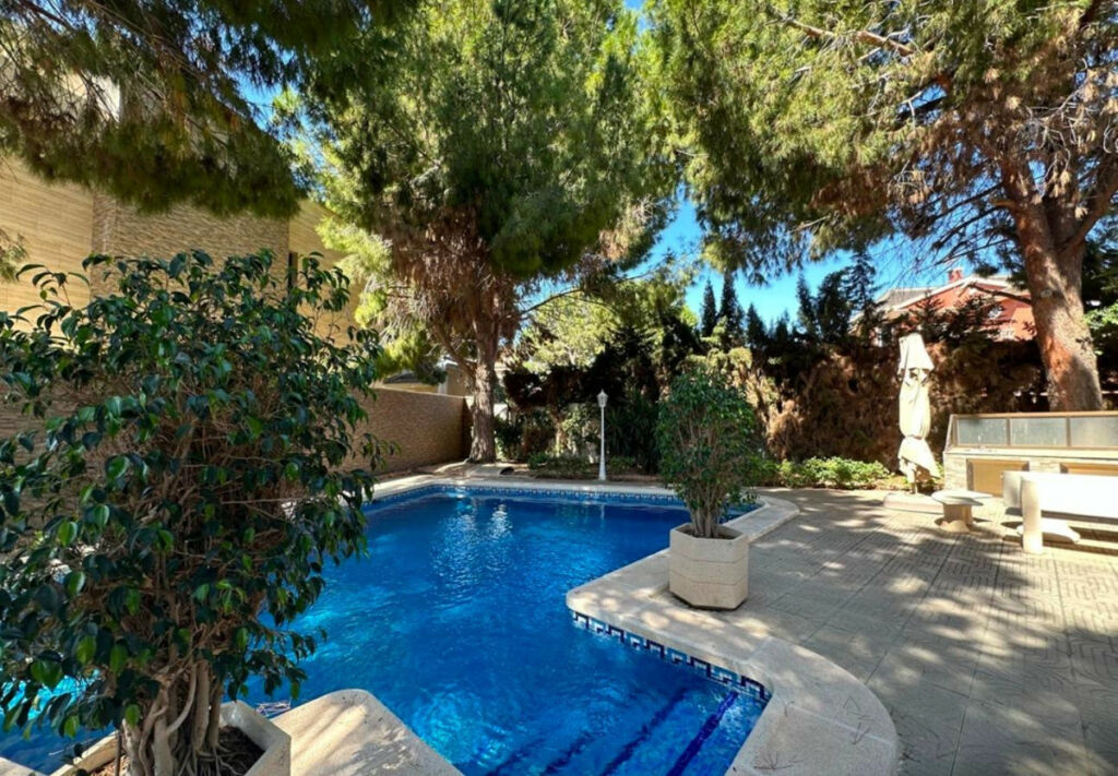Detached Villa Ciudad Quesada Alicante - zdjęcie 21