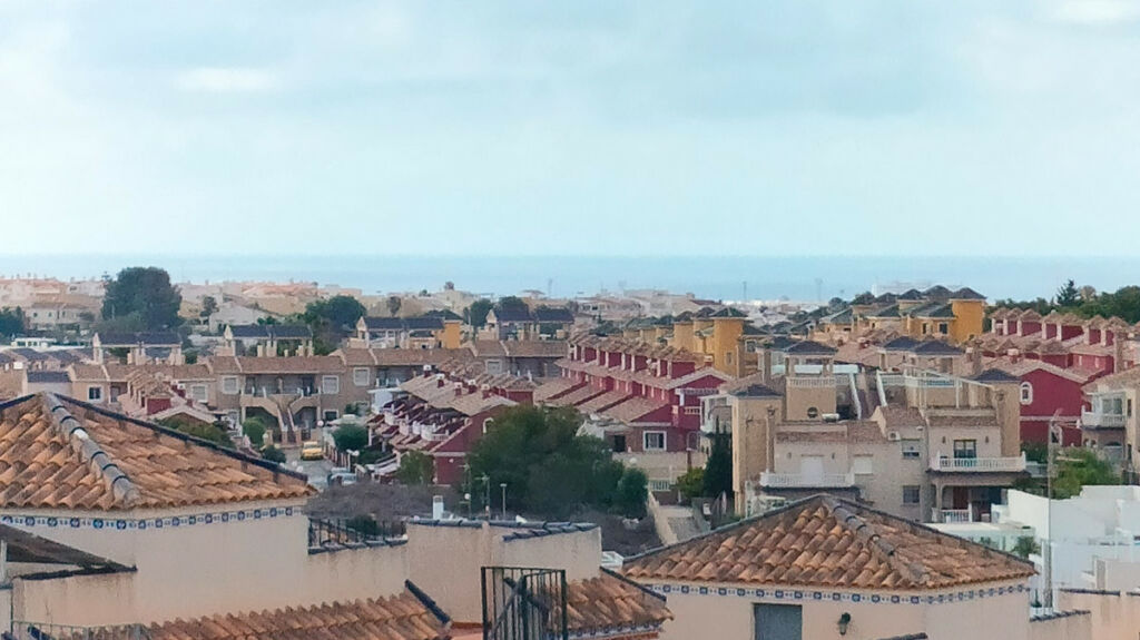Detached Villa Villamartin Alicante - image 27