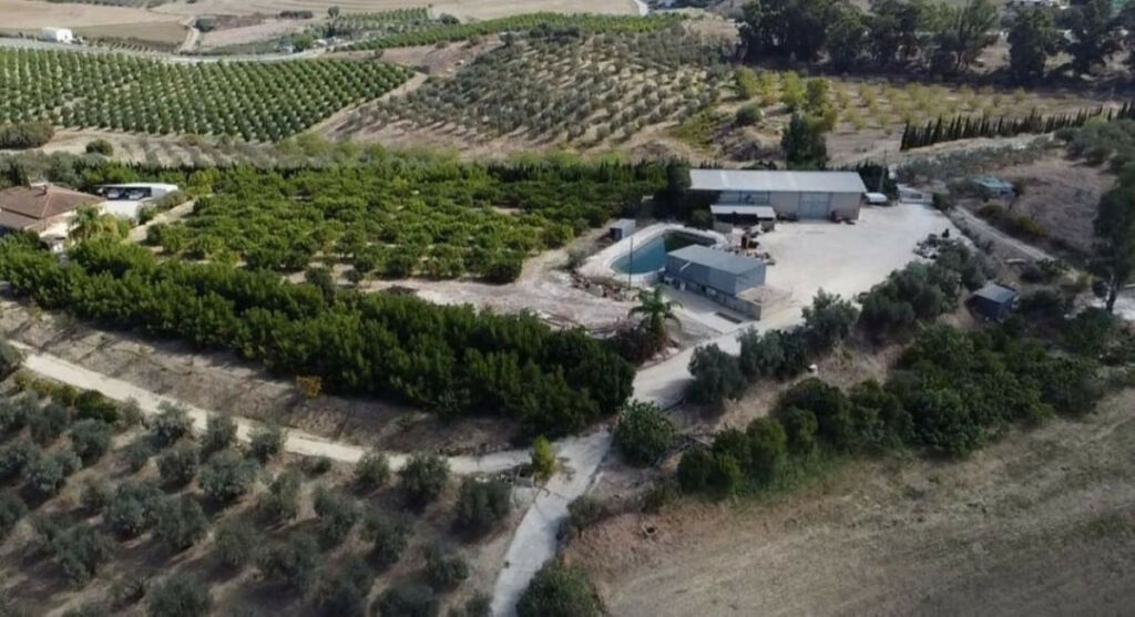 Finca - Cortijo Alhaurín el Grande Málaga - Bild 3