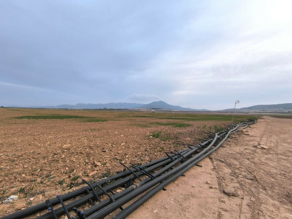 Land Yecla Murcia - imagen 3