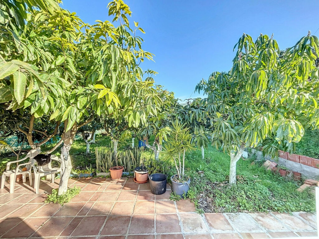 Semi-Detached House Benamargosa Málaga - imagen 33