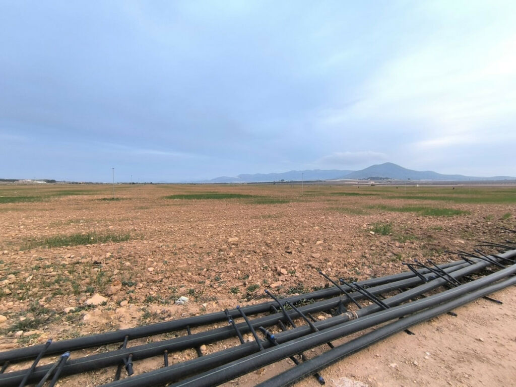 Land Yecla Murcia - imagen 4