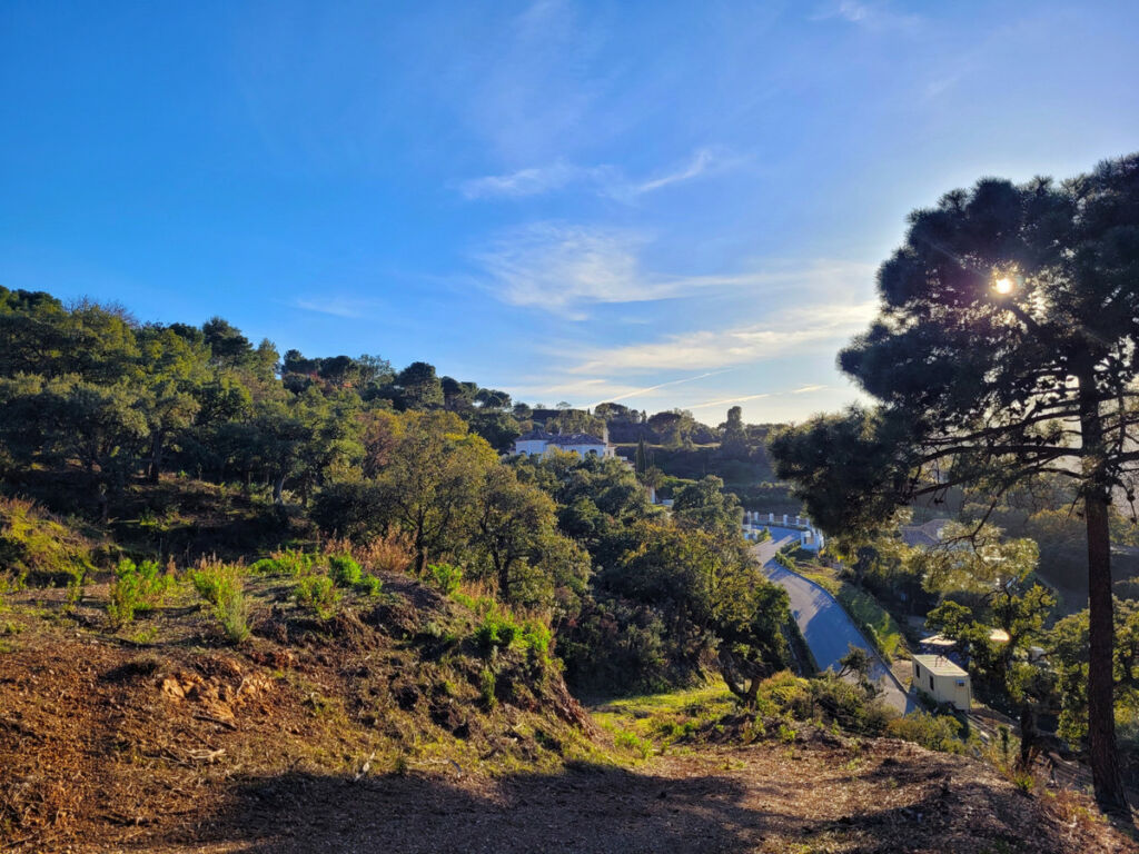 Land La Zagaleta Málaga - zdjęcie 4