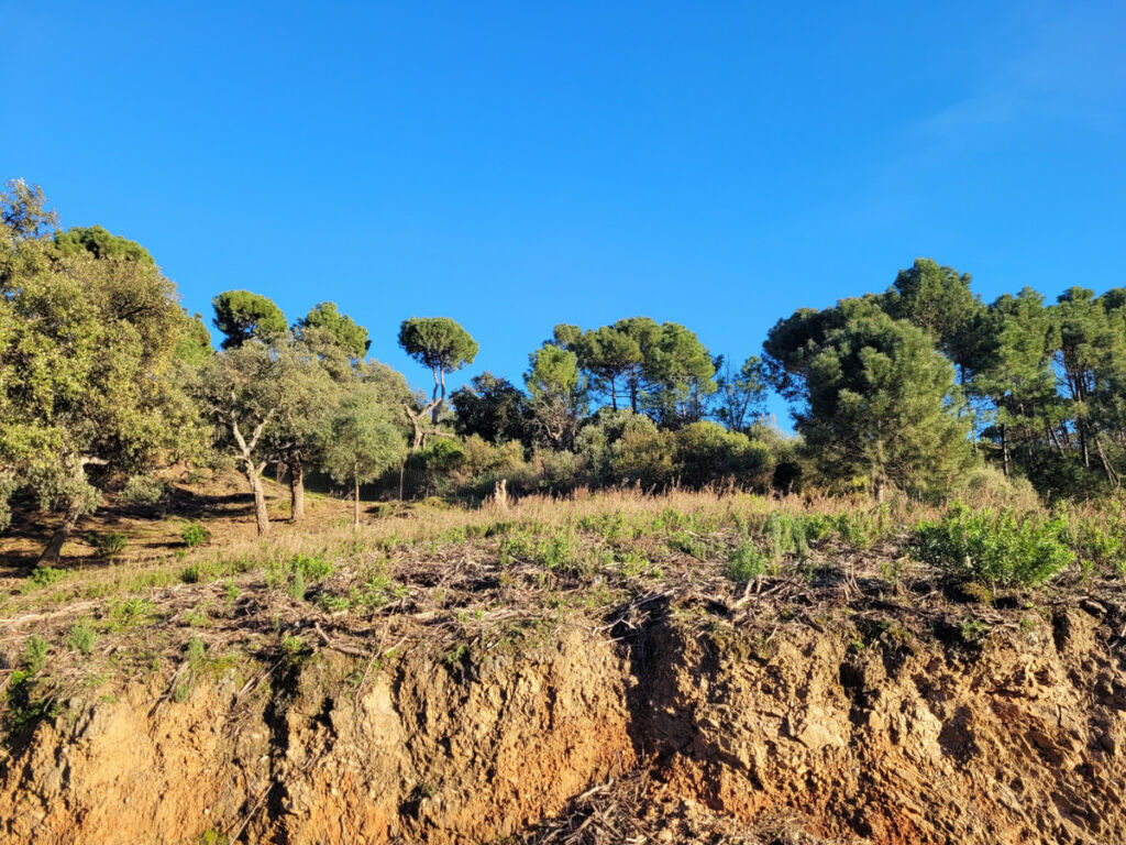 Land La Zagaleta Málaga - zdjęcie 6