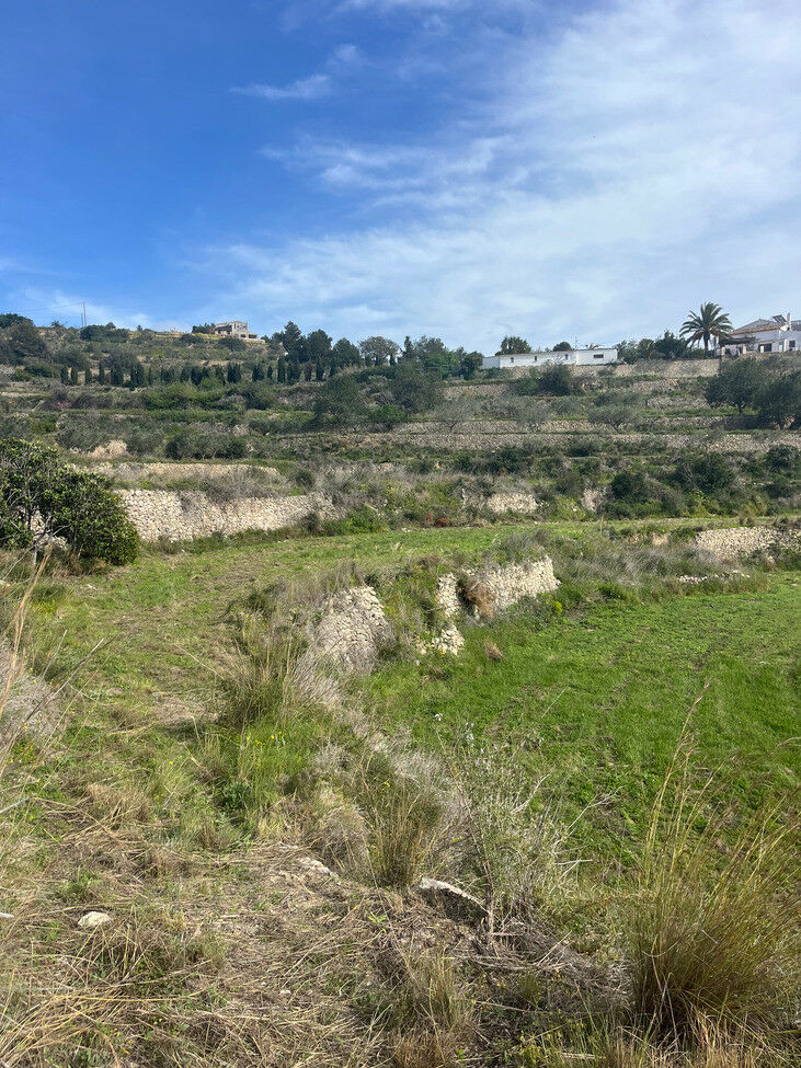 Land Pedramala Alicante - imagen 7