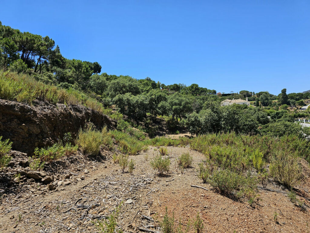 Land La Zagaleta Málaga - zdjęcie 7