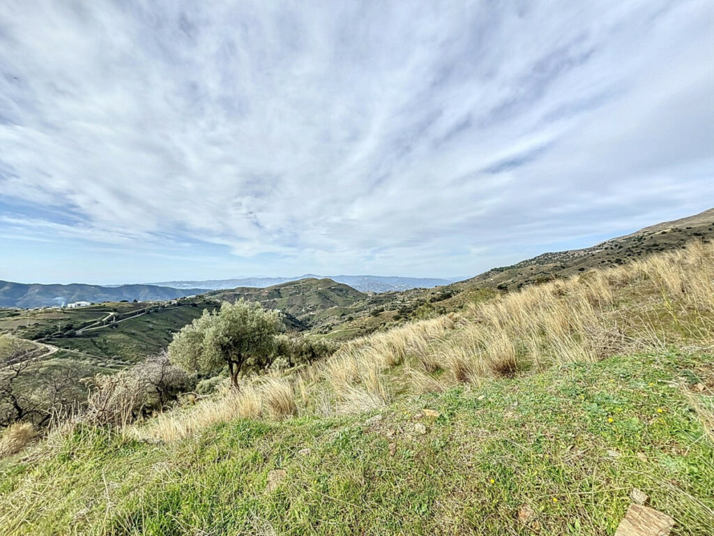 Land Sedella Málaga - Bild 11