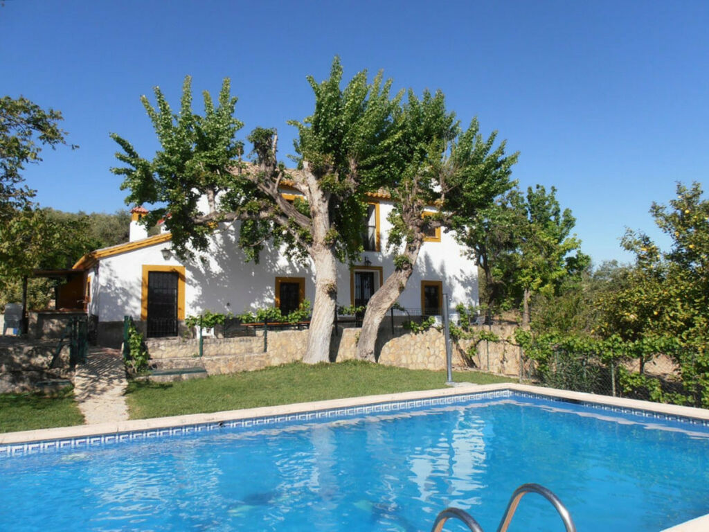 Finca - Cortijo Ronda Málaga - imagen 12