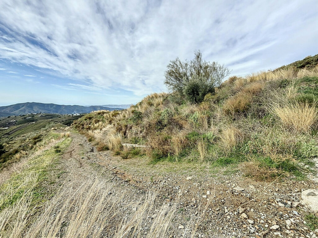 Land Sedella Málaga - Bild 12