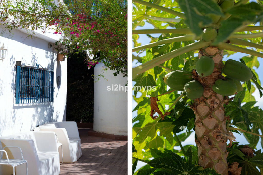 Detached Villa Almayate Málaga - imagen 12