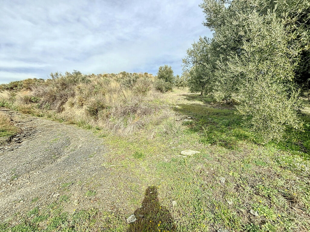 Land Sedella Málaga - Bild 13