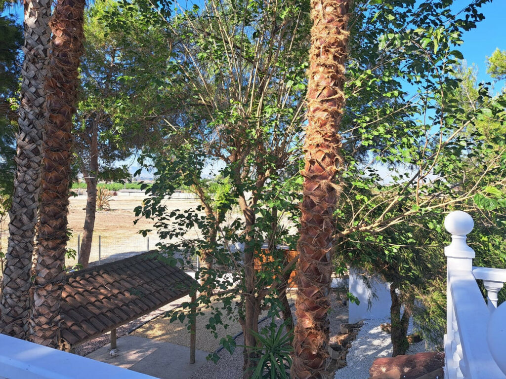 Finca - Cortijo Orihuela Alicante - Bild 7