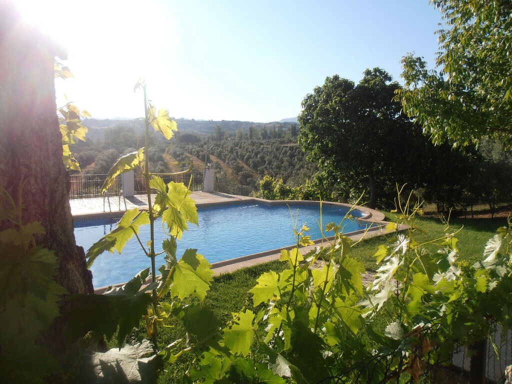 Finca - Cortijo Ronda Málaga - imagen 16