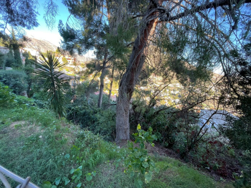 Land Calpe Alicante - imagen 2