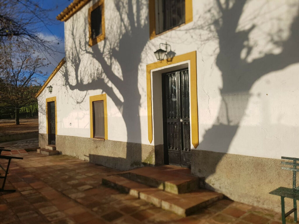 Finca - Cortijo Ronda Málaga - imagen 2