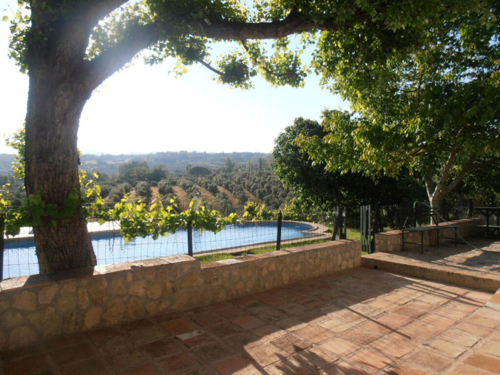 Finca - Cortijo Ronda Málaga - imagen 21