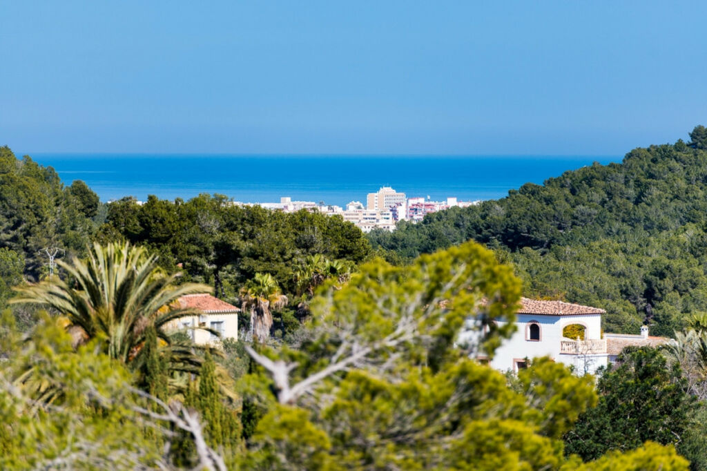 Detached Villa Javea Alicante - imagen 23