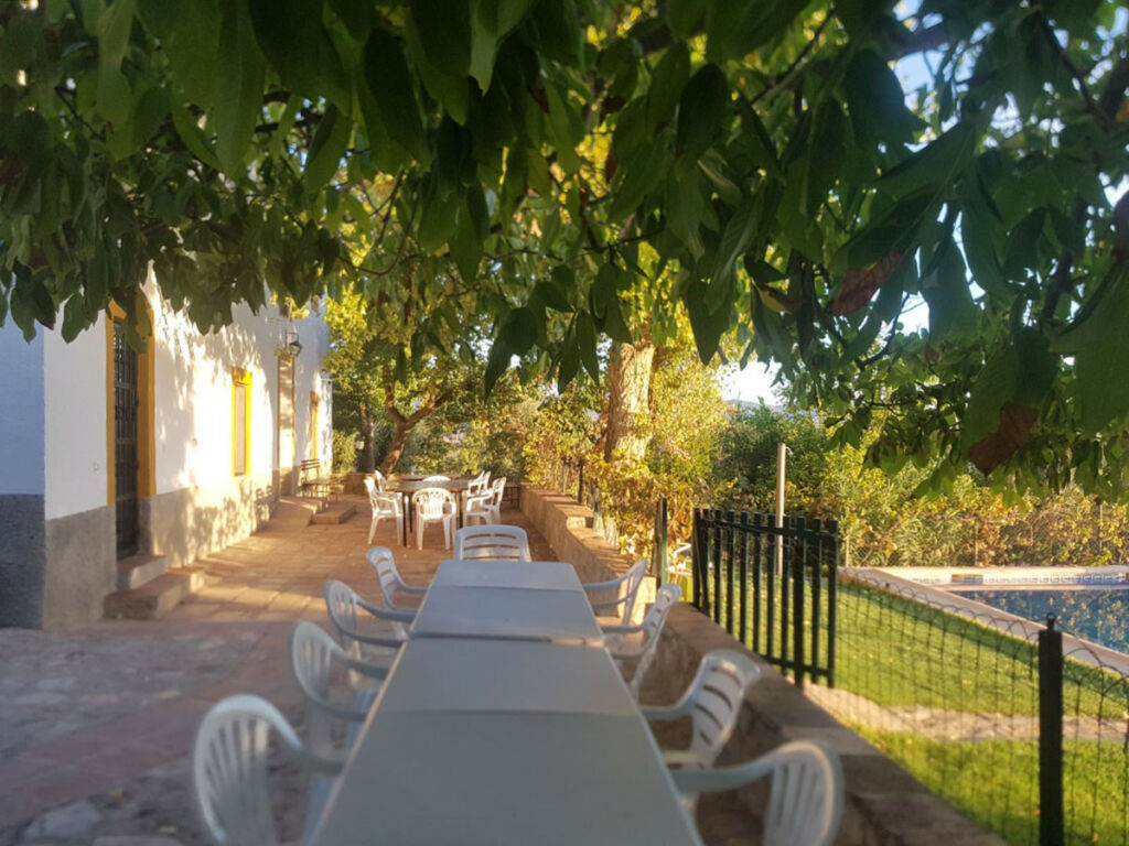 Finca - Cortijo Ronda Málaga - imagen 25