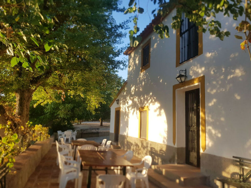 Finca - Cortijo Ronda Málaga - imagen 26