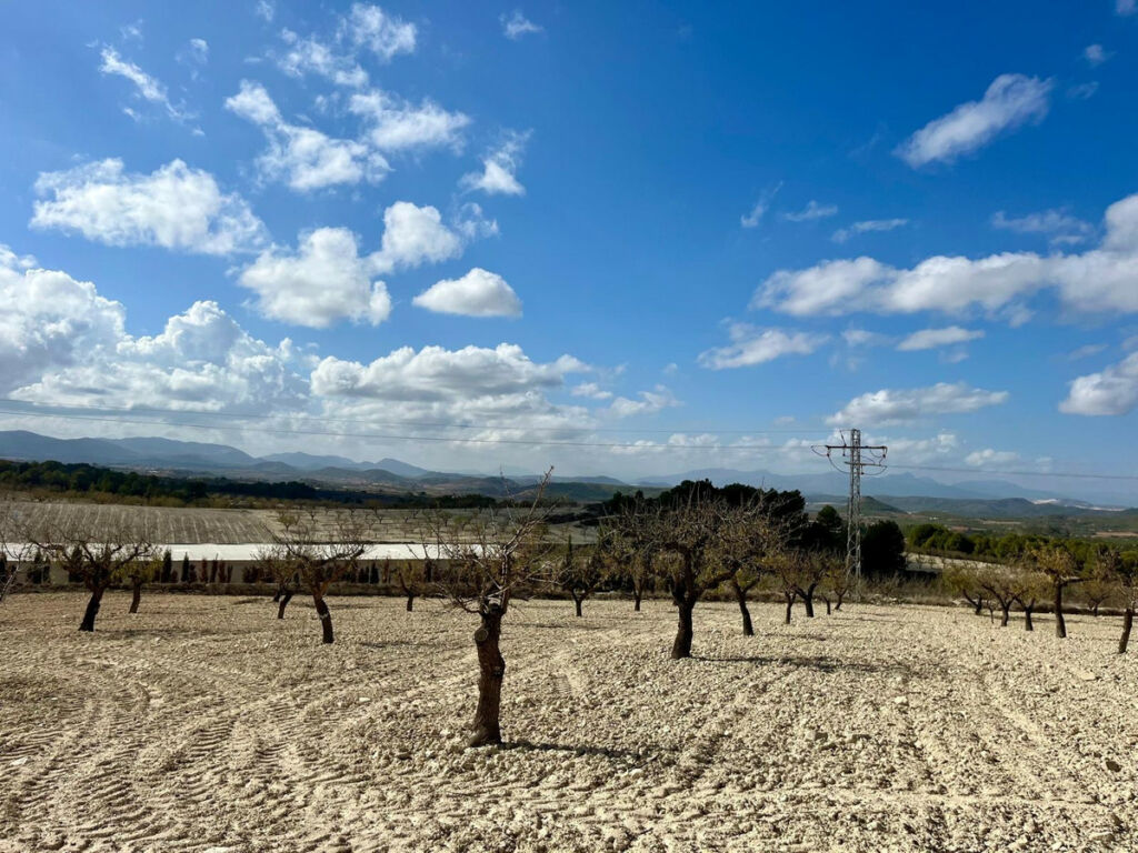 Land Bullas Murcia - imagen 19