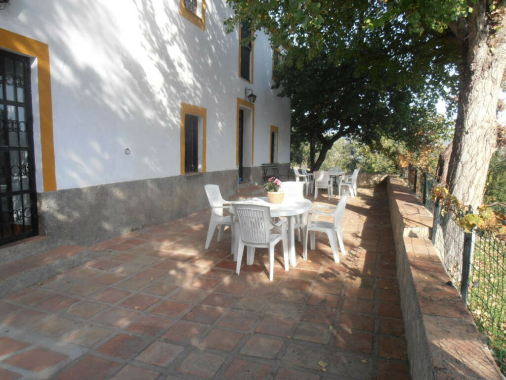 Finca - Cortijo Ronda Málaga - imagen 29
