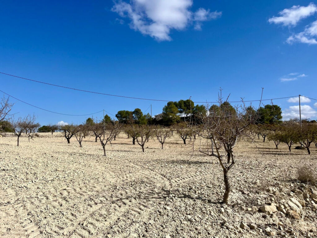 Land Bullas Murcia - imagen 3