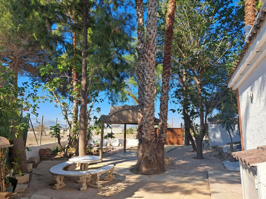 Finca - Cortijo Orihuela Alicante - Bild 5
