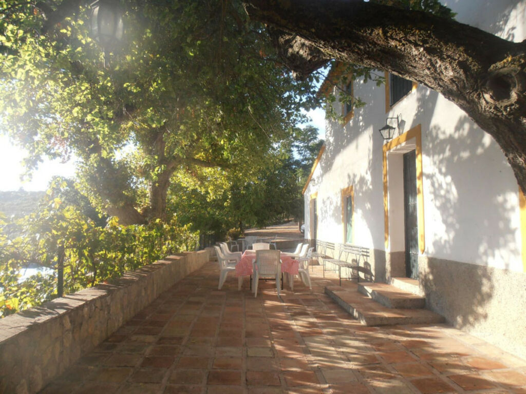 Finca - Cortijo Ronda Málaga - imagen 30