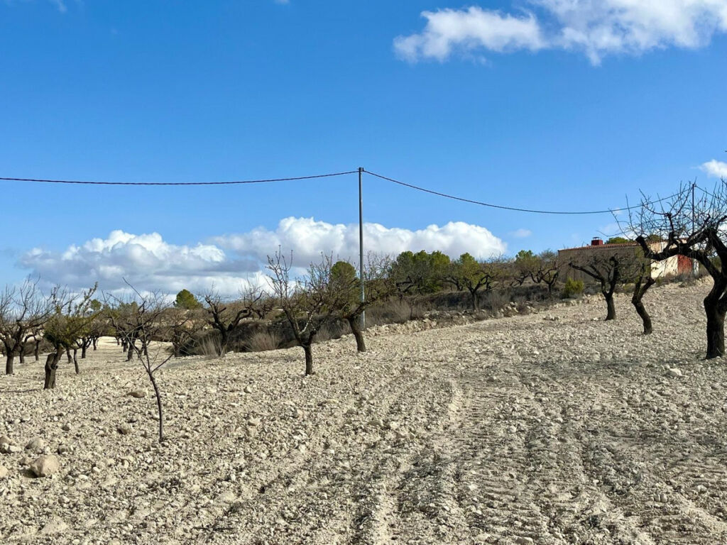 Land Bullas Murcia - imagen 21
