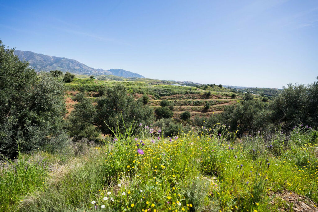 Land Mijas Málaga - imagen 4