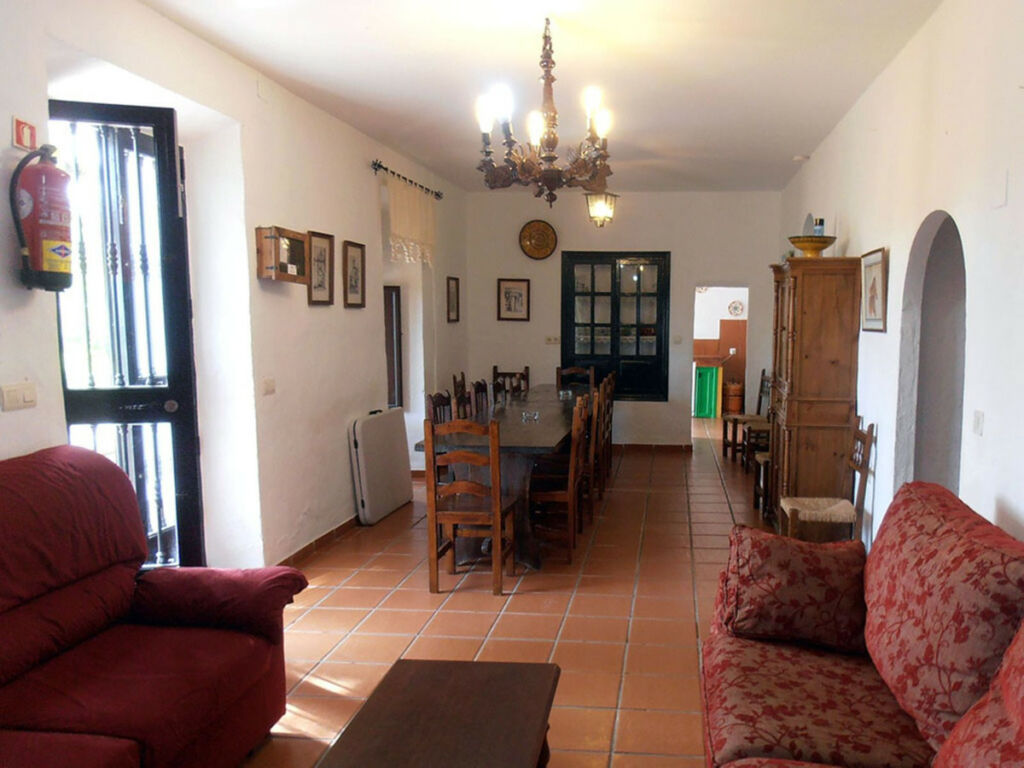 Finca - Cortijo Ronda Málaga - imagen 41