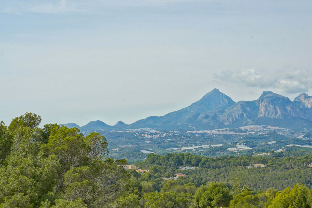Detached Villa Altea Alicante - imagen 47