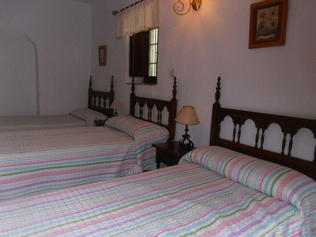 Finca - Cortijo Ronda Málaga - imagen 47